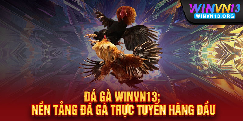 Đá Gà WINVN13 - Cực phẩm đấu trường, thắng cực đã, tỷ lệ thưởng bùng nổ 2 Đá Gà WINVN13: Nền Tảng Đá Gà Trực Tuyến Hàng Đầu
