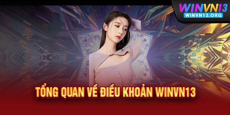 Điều khoản WINVN13 - Rõ ràng như gương, bảo vệ người chơi tối đa 1 Tổng quan về điều khoản WINVN13