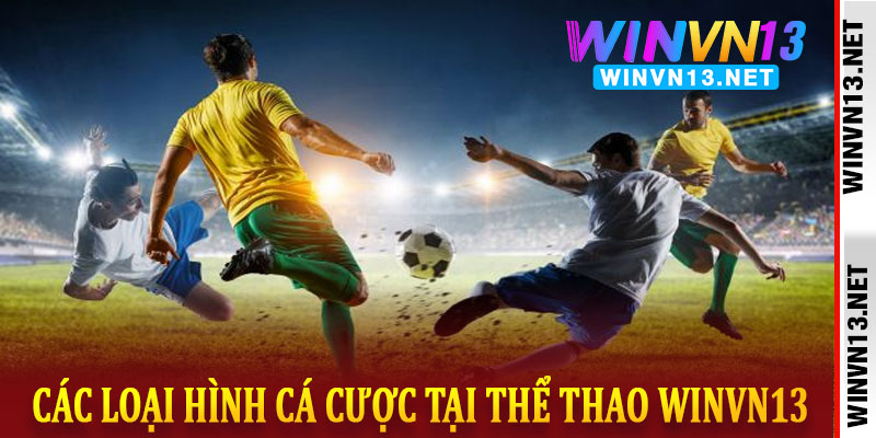 thể thao WinVN13