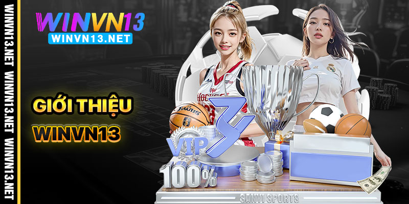 Giới Thiệu WinVN13