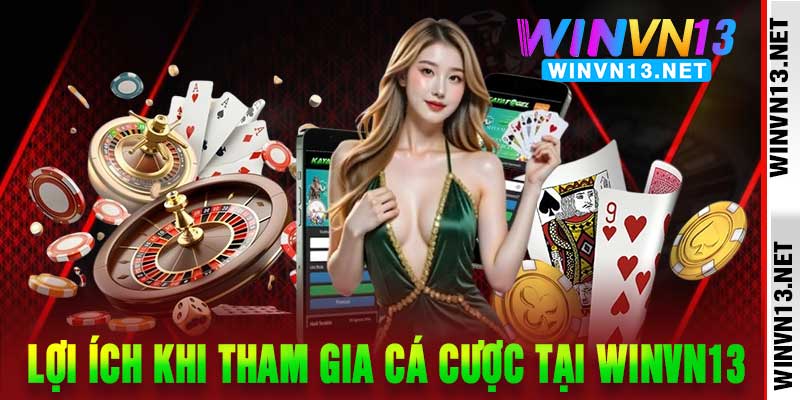 Giới thiệu WinVN13