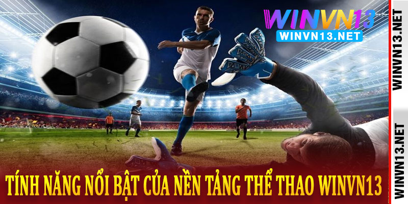 thể thao WinVN13